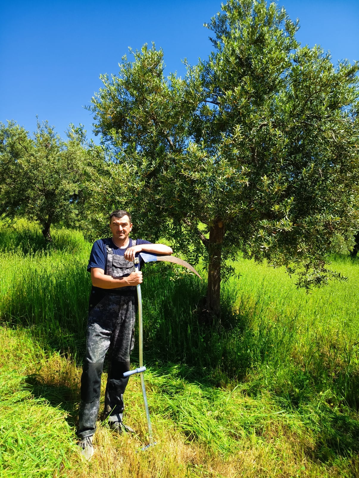 vita-olio Kalabrien