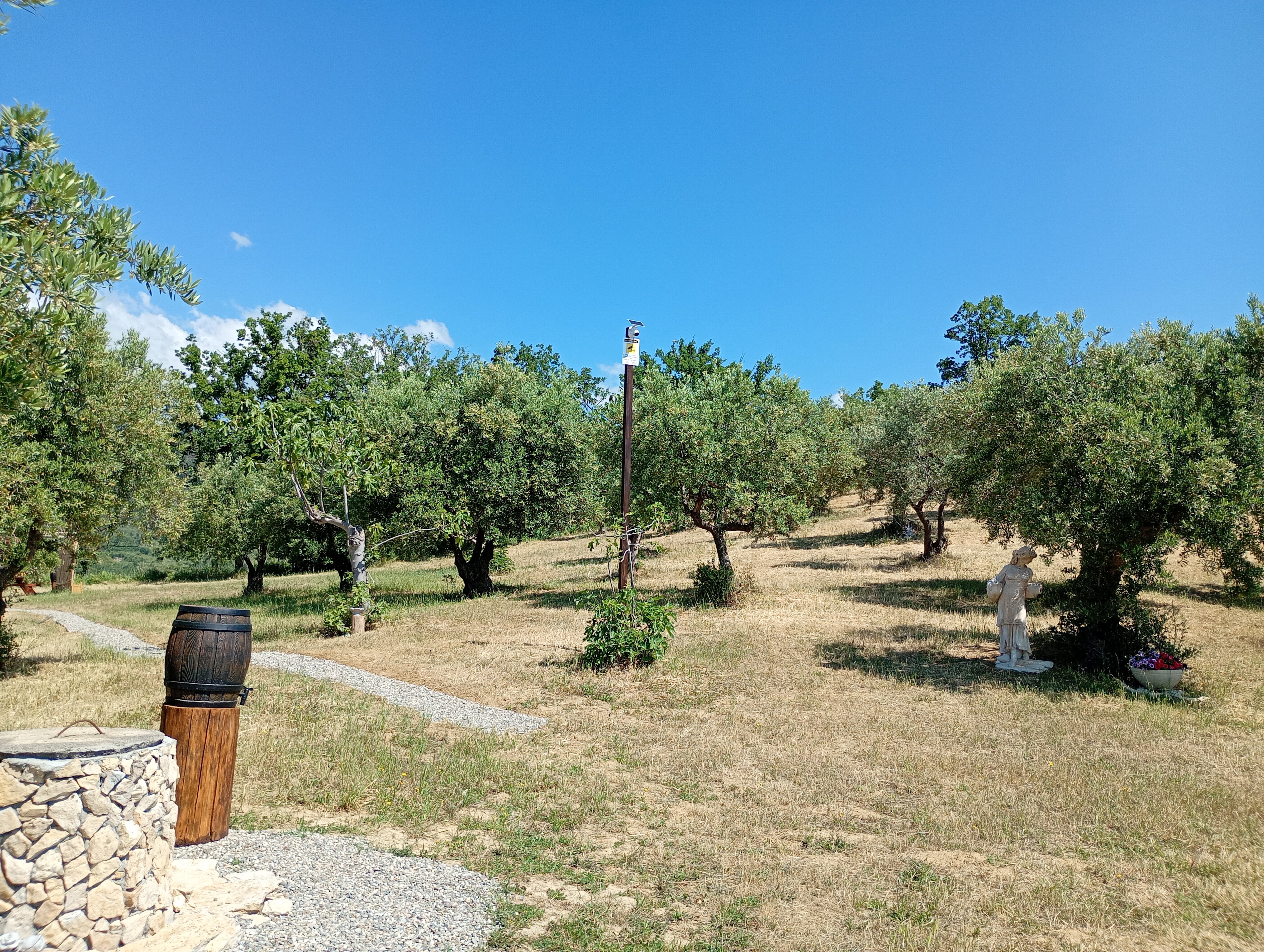vita-olio Kalabrien